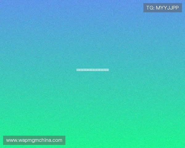 金冠网站登录线路的安全性与用户体验全面解析