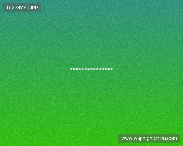 银河娱乐投资者关系:公司治理结构与风险管理体系的详细介绍
